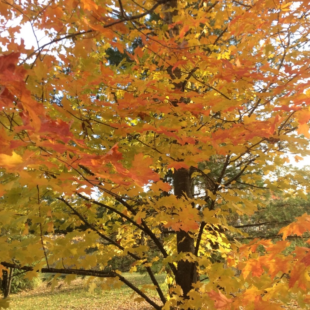 Clothes selling - mostly new some gently worn